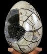 Septarian Dragon Egg Geode - Removable Section #78537-2